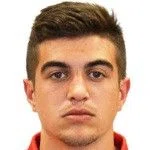 Aleksandar Mesarovic