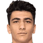 Amirmohammad Razzaghinia