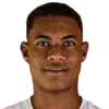 Diego Borges