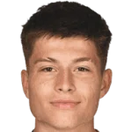 Esmir Bajraktarevic