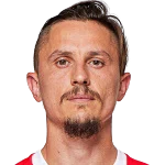 Ljubomir Fejsa