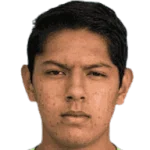 Ó. Castellanos