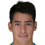 Sergio Araujo