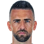 Vedad Ibišević