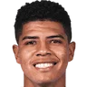 Wilder Cartagena